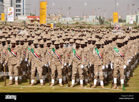 sudan and rapid support forces darfur